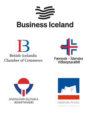 Business-Iceland-4